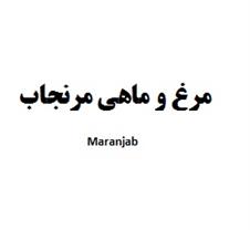 Morgh Va Mahi Maranjab