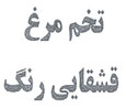Tokhm Morgh Ghashghaei Rang