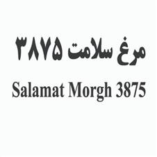 Morgh Salamat 3875 Salamat Morgh 3875