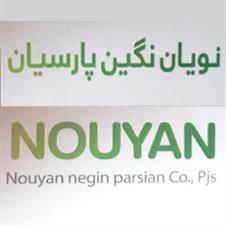 Nouyan Negin Parsian Nouyan negin parsian co ,pjs