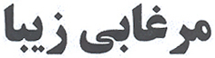 Morghabi Ziba